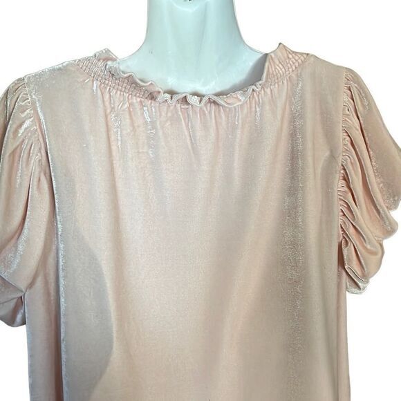 Free People Terese Top Size M Pink Tint Velvet poof short sleeve ruffle Tie Neck - Picture 11 of 12